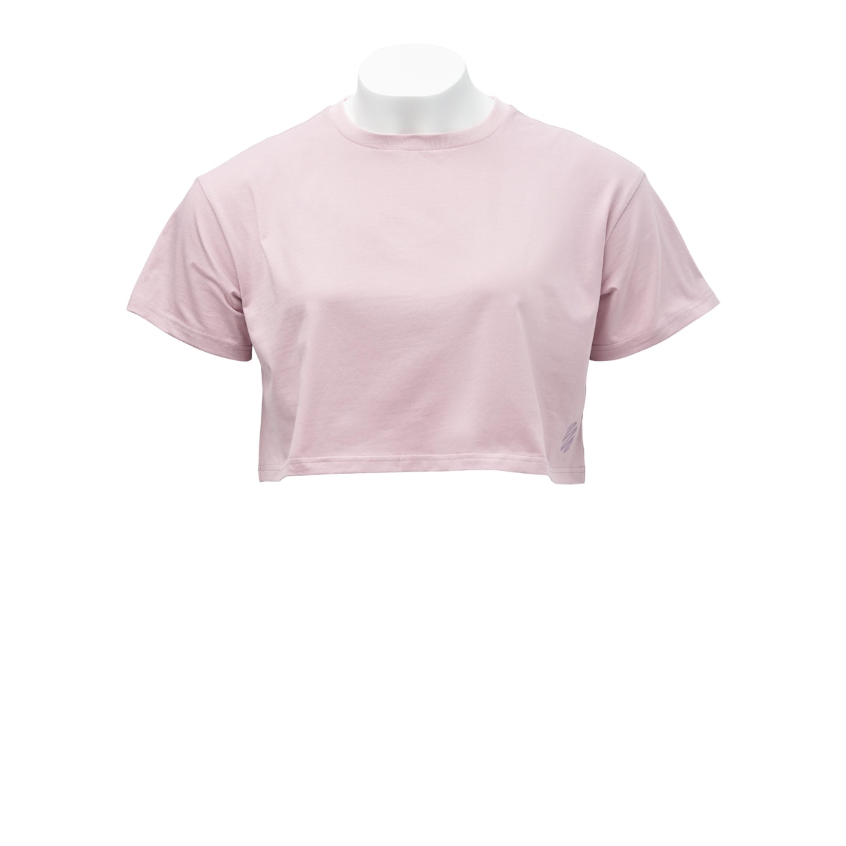 BlenderBottle Cropped T-Shirt - WDNI